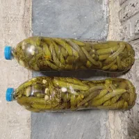 خیارشور درجه یک