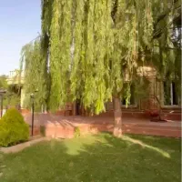باغ ویلا سالیانه