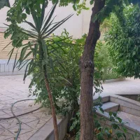 آپارتمان۹۲متری/دو خوابه/حیاط اختصاصی/ مهر شمالی|فروش آپارتمان|اصفهان, مهرآباد|دیوار