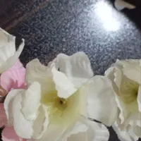 گل مصنوعی شکوفه گیلاس - ۳۰۰ شاخه با قیمت عالی|گل مصنوعی|مشهد, آبکوه|دیوار