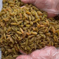 مویز،کشمش،شیره انگور (عمده خرده)|خوردنی و آشامیدنی|بوشهر, |دیوار