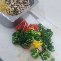 تمامی متریال فست فود بصورت عمده و جزئی