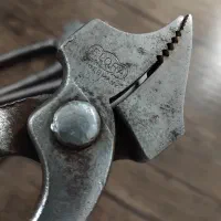 گاز انبر کار کشی مخصوص کفاشی