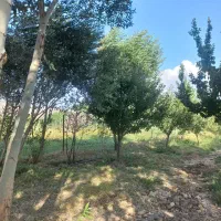 باغ|فروش خانه و ویلا|قره پشتلو, |دیوار