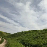 کارت خوان لمسی