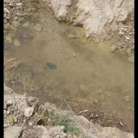خانه ویلایی معاوضه بااپارتمان زمین واب چشمه شخصی|مشارکت در ساخت املاک|ملک‌آباد, |دیوار
