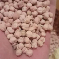 نخود|عمده‌فروشی|شاهنجرین, |دیوار