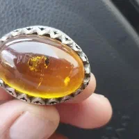 انگشتر کهربا فسل مورچه