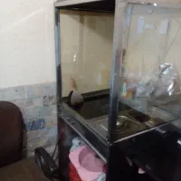 فر سالم|اجاق گاز و لوازم برقی پختوپز|نظرآباد, نظرآباد|دیوار