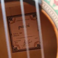 گیتار پارسی m3|گیتار، بیس، امپلیفایر|چهارباغ, |دیوار