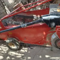 فروش سیبکن بسیار سالم و کم کار