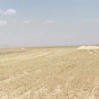 ۲۵ هکتار زمین کشاورزی دیم