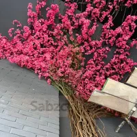 فروش انواع دیوار سبز و گل مصنوعی به قیمت تولیدی