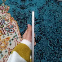 تبلت فول|تبلت|آق قلا, |دیوار