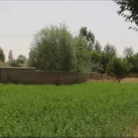 شراکت در دامپروری