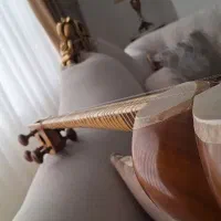 تار۳۰ ساله بدون مهر صدای بینظیر