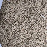 لوبیام چشم بلبلی و ترکمنی(گندمی)|خوردنی و آشامیدنی|فراغی, |دیوار