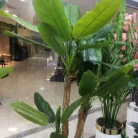 درختچه و بوته مصنوعی وارداتی،چمن مصنوعی|گل مصنوعی|شیراز, نیایش|دیوار