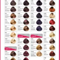 رنگ مو استار لیدی|آرایشی، بهداشتی، درمانی|تبریز, |دیوار