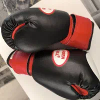 دستکش بوکس Green hill چرم