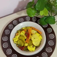 شور ترشی خانگی دبه ای ۹ کیلویی