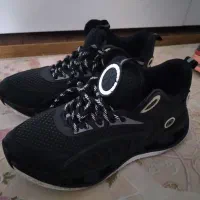 کتونی|کیف، کفش، کمربند|قزوین, |دیوار