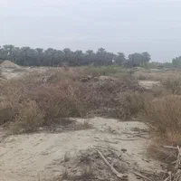 زمین ۴ هکتاری با ۴۰ ساعت آب سهمیه کانال