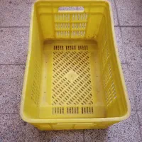 سبد پلاستیکی مواد اول|ظروف نگهدارنده، پلاستیکی، یکبارمصرف|اندیمشک, |دیوار