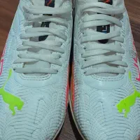 کفش ورزشی سالنی