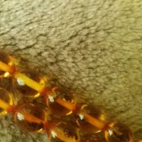 تسبیح شمع مورچه دار