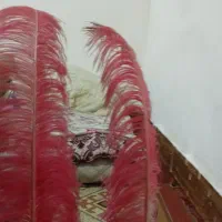کلاه خود