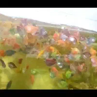 کالر اور سایز ۷ رنگ فقط عم.ده