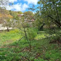 فروش فوری ویلای مسکونی در سنگده|فروش خانه و ویلا|فریم, |دیوار