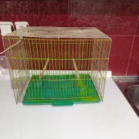 قفس پرنده
