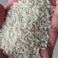 برنج عنبر بو سوپر ممتاز عطری موجود شد|خوردنی و آشامیدنی|پرند, فاز ۵|دیوار