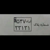 پلاک گم شده