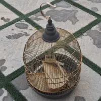 قفس طلایی شیک