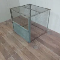 قفس جلو قوطی نر تنها خرقه بدرنگ کبوتر