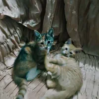 واگذاری بچه گربه رایگان