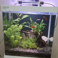 آکواریم آکوا مدل GH400 دلسا