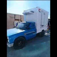 نیسان حمل گوشت و مرغ اسکلت یخ زده و غیره