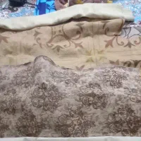 موکت|موکت|مشهد, کوی المهدی|دیوار