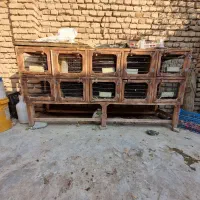 جفت کن ، قفس|لوازم جانبی حیوانات|شاهرود, |دیوار