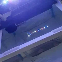 اکواریوم شیشه خم شرکتی دلسا|ماهی|پردیس, فاز ۸|دیوار