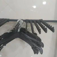 رگال تیله ای و چوبکار مشکی