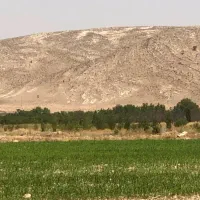 فروش نیم هکتار زمین زراعی  سند تک برگ ملوسجان