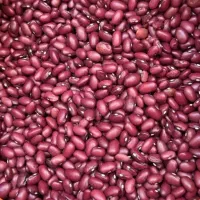 لوبیا قرمز و سفید