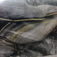 سرو یس شش تیکه|تشک تختخواب|بجنورد, |دیوار