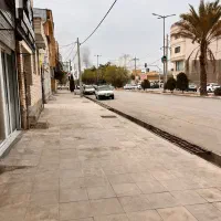 تعدادی-زمین-و-کلنگی-شاهد