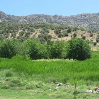 خانم همکار جهت فروشندگی نوشت افزار